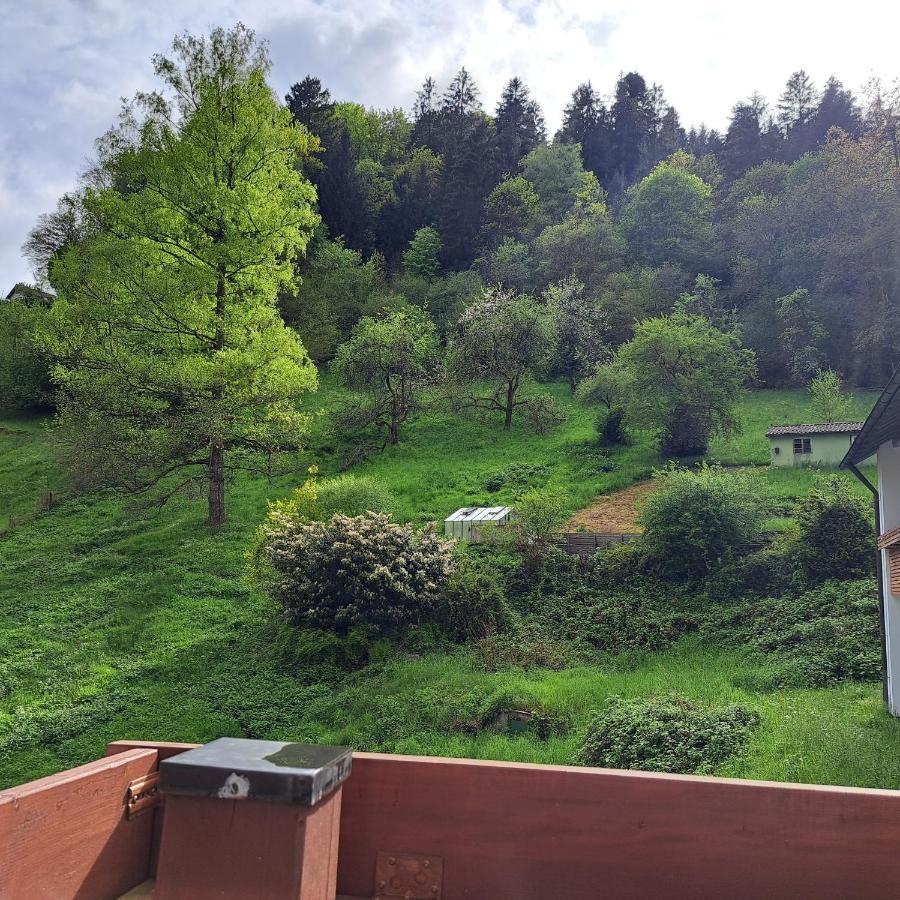 Wohn-Eitel Sonnenblick Apartamento Bad Wildbad Exterior foto